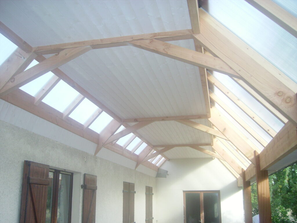 Acer Image